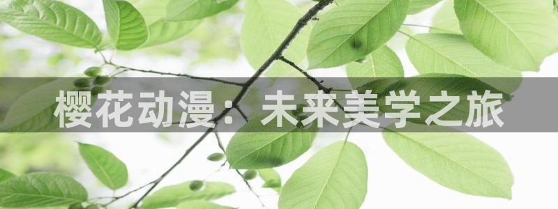 omofun.com：樱花动漫：未来美学之旅