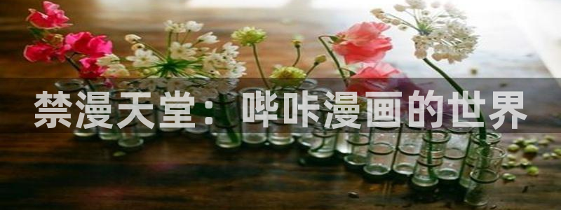 omofun动漫在线观看看：禁漫天堂：哔咔漫画的世界