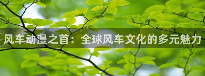omofun官方网站：风车动漫之首：全球风车文化的多元魅力