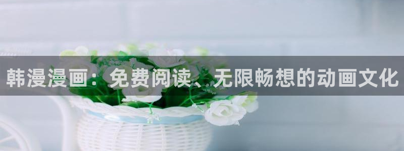 omofun 翻译：韩漫漫画：免费阅读、无限畅想的动画文化