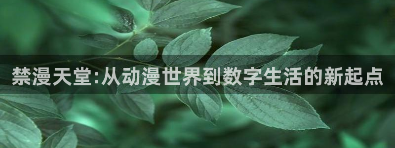 omofun新版本：禁漫天堂:从动漫世界到数字生活的新起点