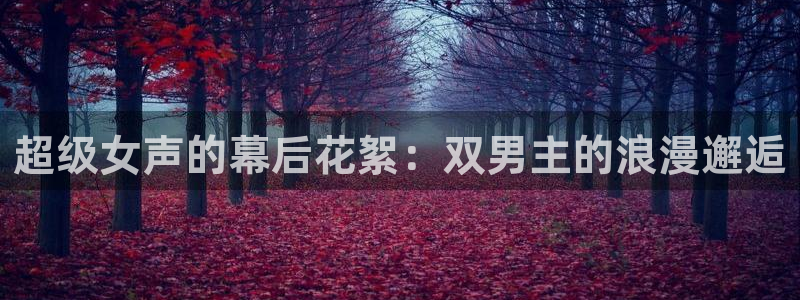 酷漫屋在线：超级女声的幕后花絮：双男主的浪漫邂逅