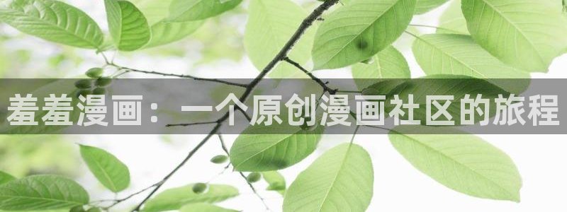 omofun缓存：羞羞漫画：一个原创漫画社区的旅程