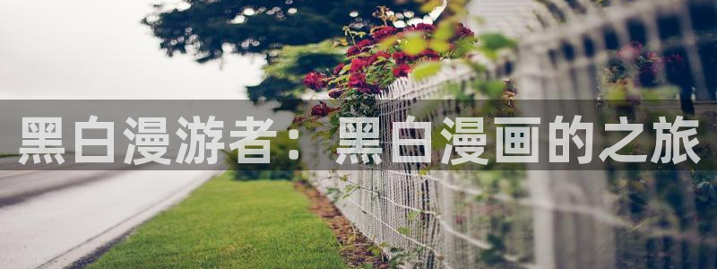 omofun动漫共和国下载：黑白漫游者：黑白漫画的之旅