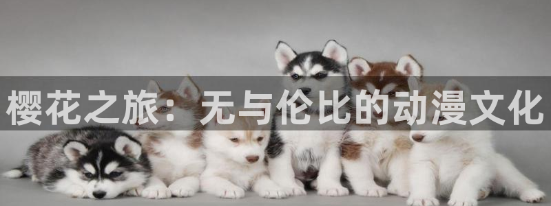 omofun官方下载入口：樱花之旅：无与伦比的动漫文化