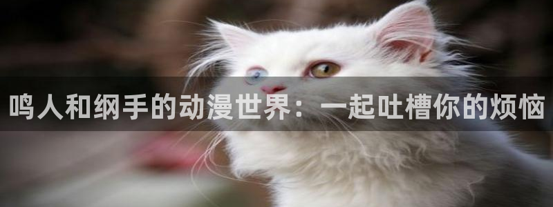omofun动漫官网网址：鸣人和纲手的动漫世界：一起吐槽你的烦恼