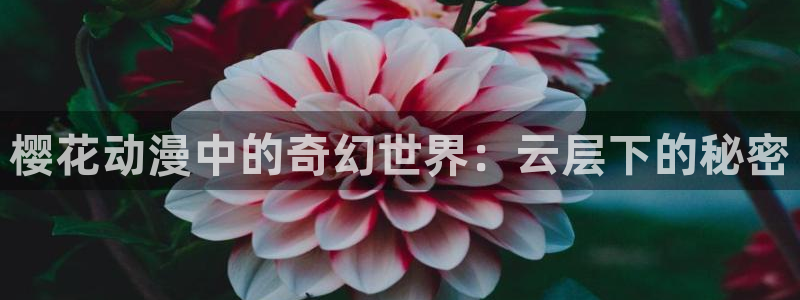omofun官方正版：樱花动漫中的奇幻世界：云层下的秘密