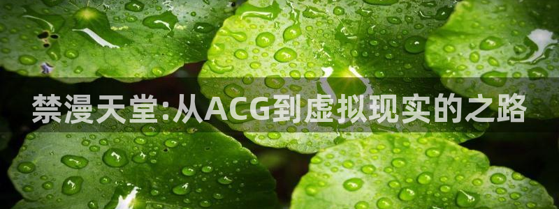 omofun动漫在哪下载：禁漫天堂:从ACG到虚拟现实的之路