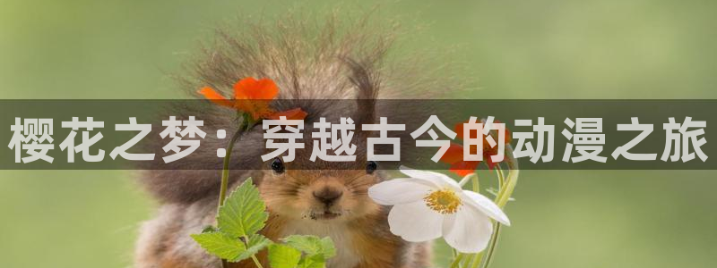 omofun动漫王国：樱花之梦：穿越古今的动漫之旅