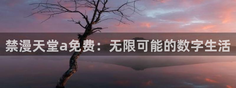omofun官方网站下载：禁漫天堂a免费：无限可能的数字生活