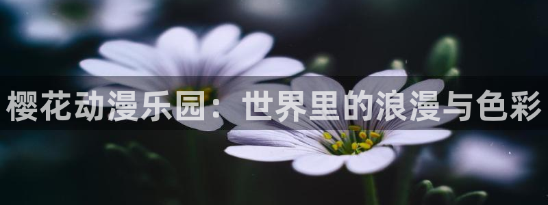 omofun下载app：樱花动漫乐园：世界里的浪漫与色彩