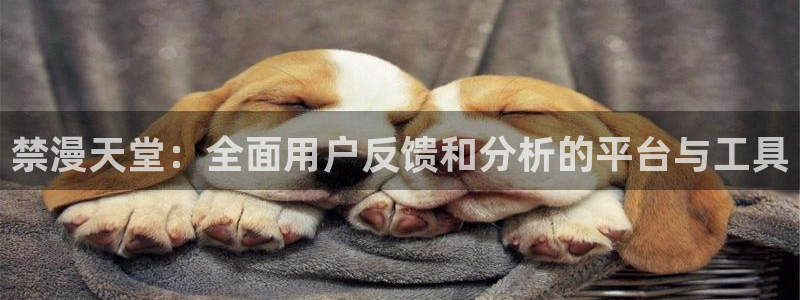 omofun专注动漫的网站：禁漫天堂：全面用户反馈和分析的平台与工具
