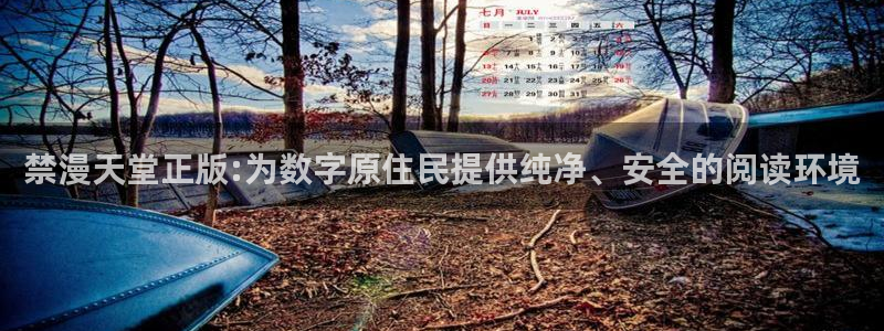 omofun?：禁漫天堂正版:为数字原住民提供纯净、安全的阅读环境